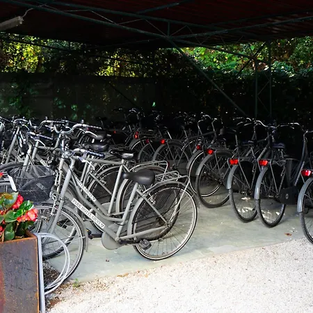 Park Giusy 3* Lido di Camaiore